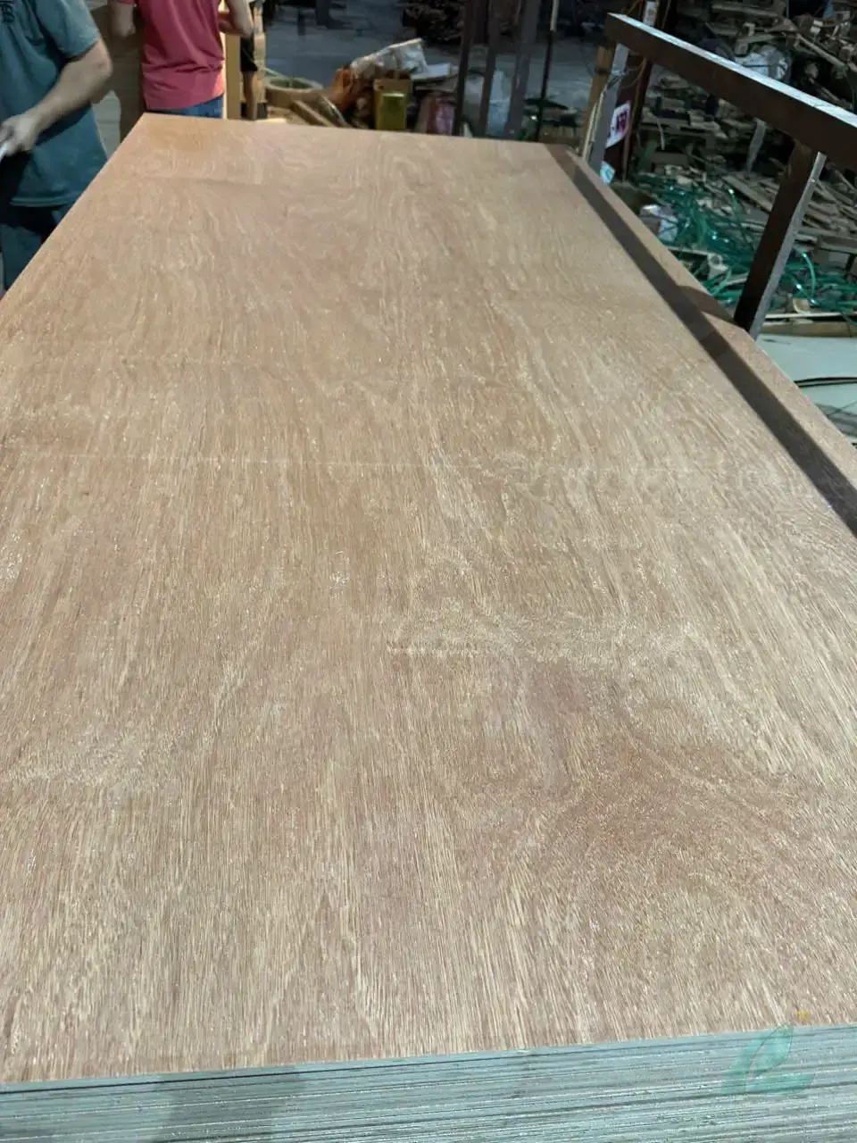 Gurjan plywood Vietnam premium export grade hcply 002