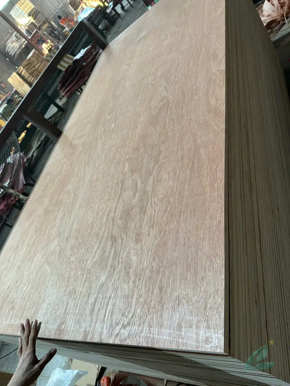 Gurjan plywood Vietnam premium export grade hcply 005