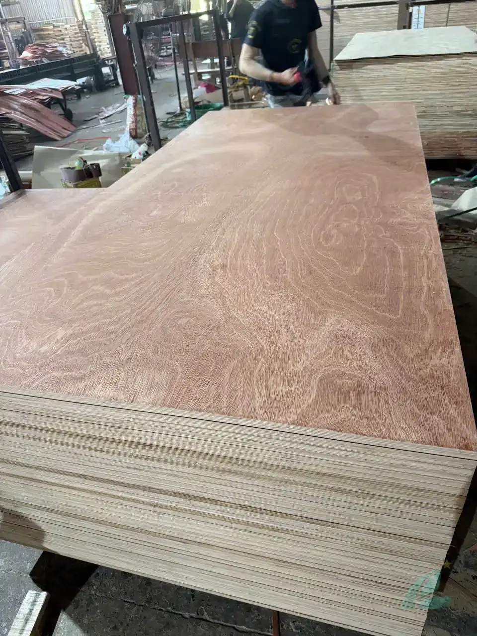 Gurjan plywood Vietnam premium export grade hcply 010