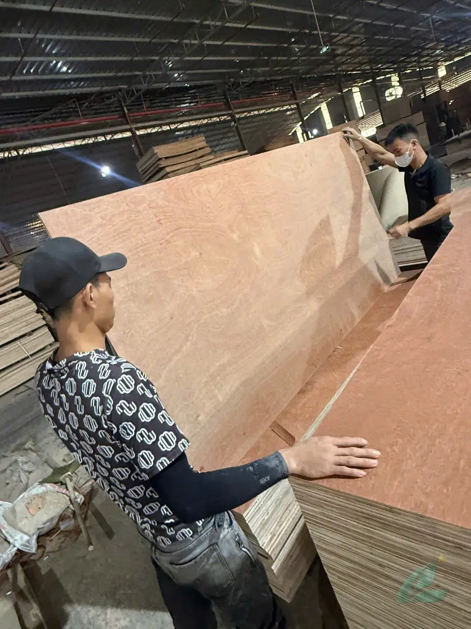 Gurjan plywood Vietnam premium grade dark red face HCPLY