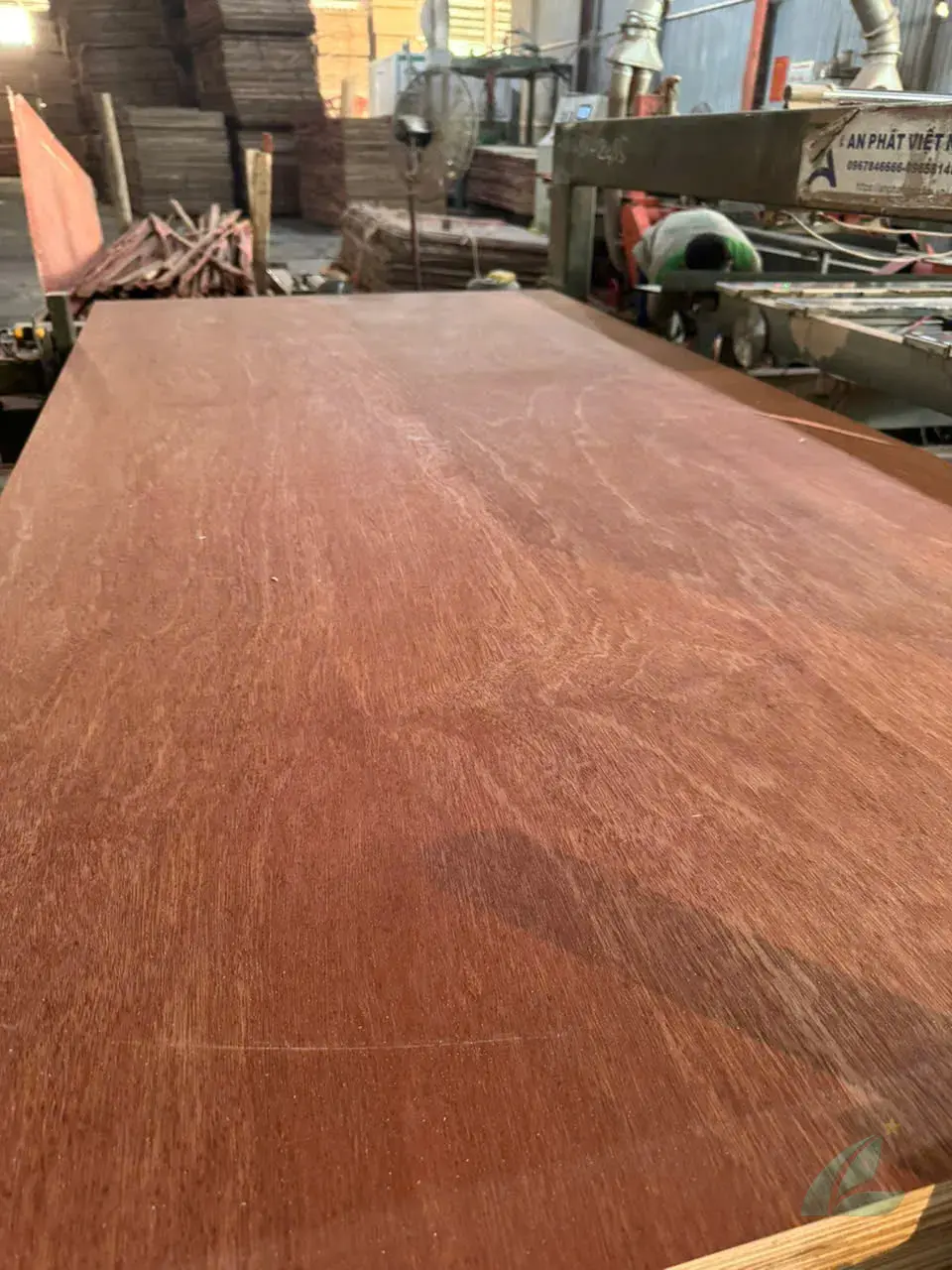 Gurjan plywood Vietnam premium export grade hcply 027