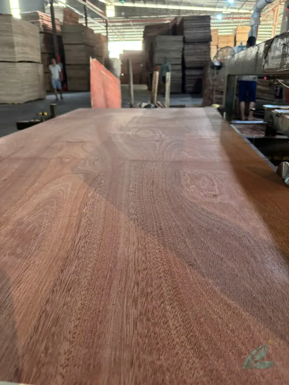 Gurjan plywood Vietnam premium export grade hcply 040
