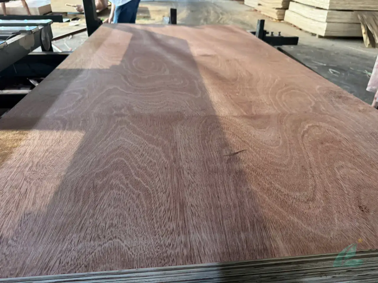 Gurjan plywood Vietnam premium export grade hcply 043