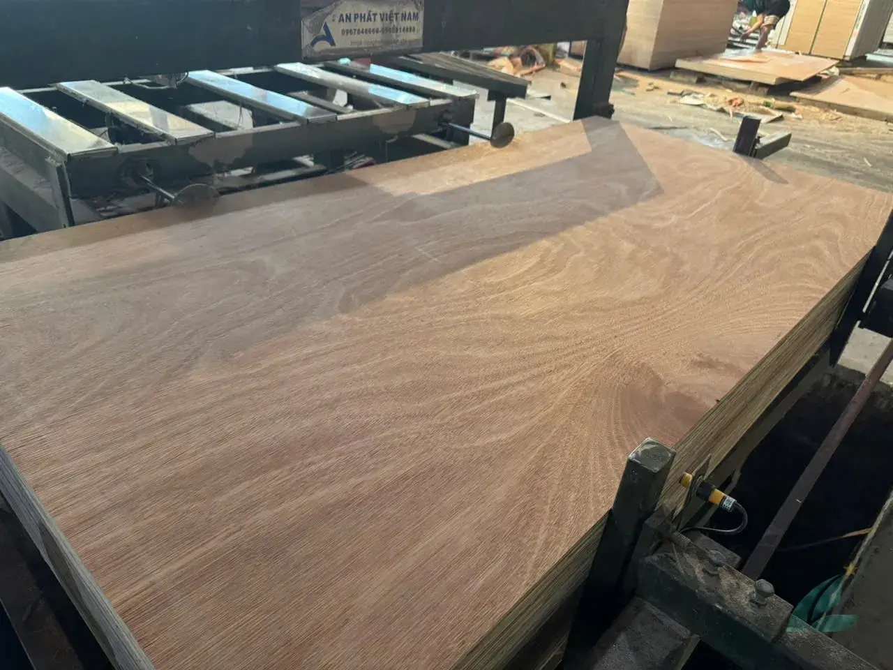 Gurjan plywood Vietnam premium export grade hcply 048