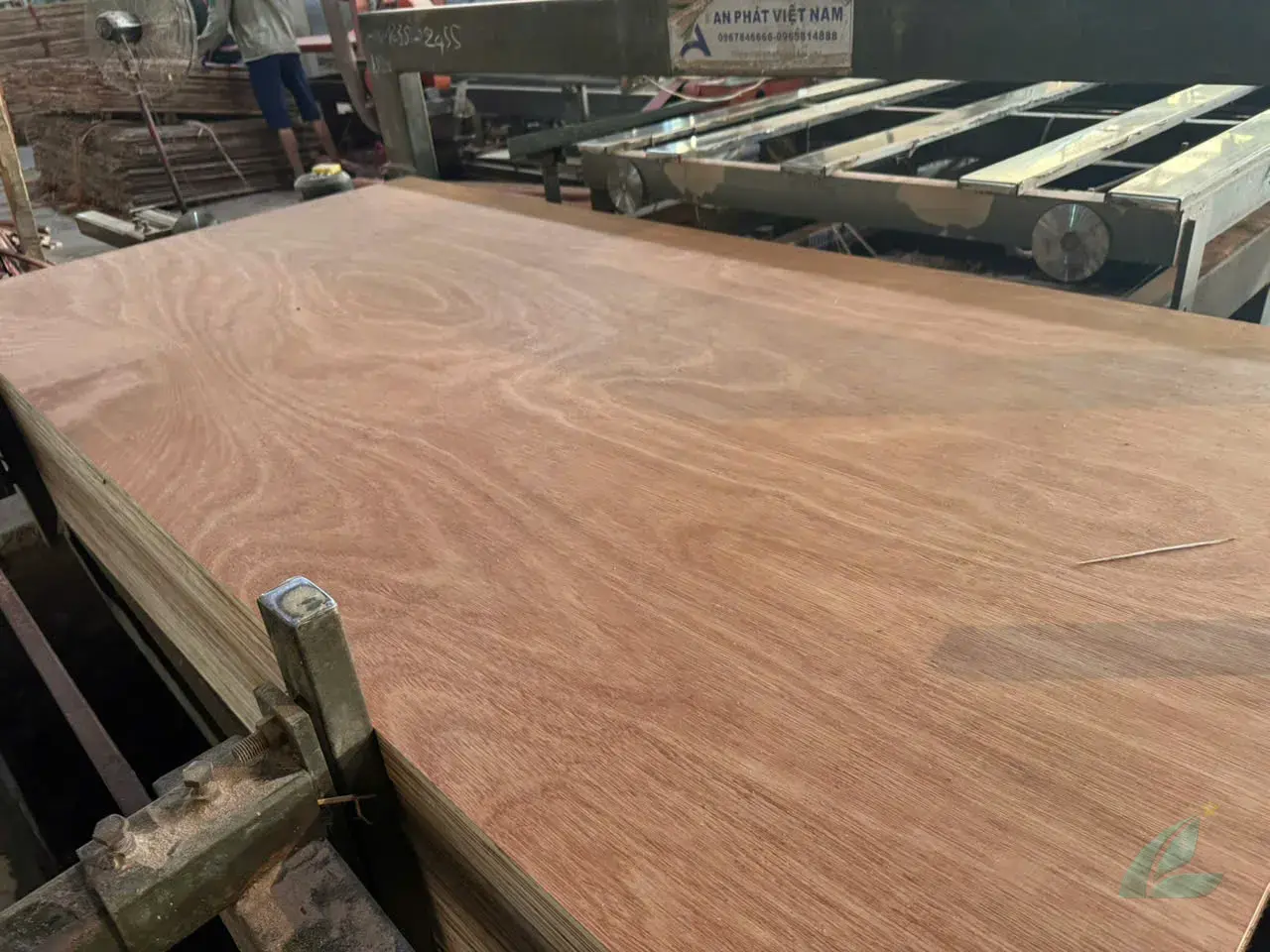 Gurjan plywood Vietnam premium export grade hcply 050