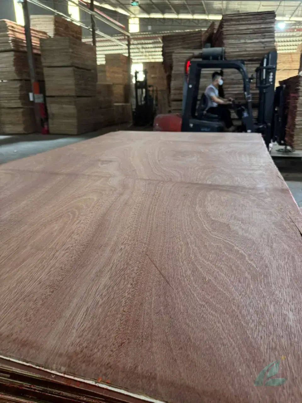 Gurjan plywood Vietnam export quality stacked HCPLY