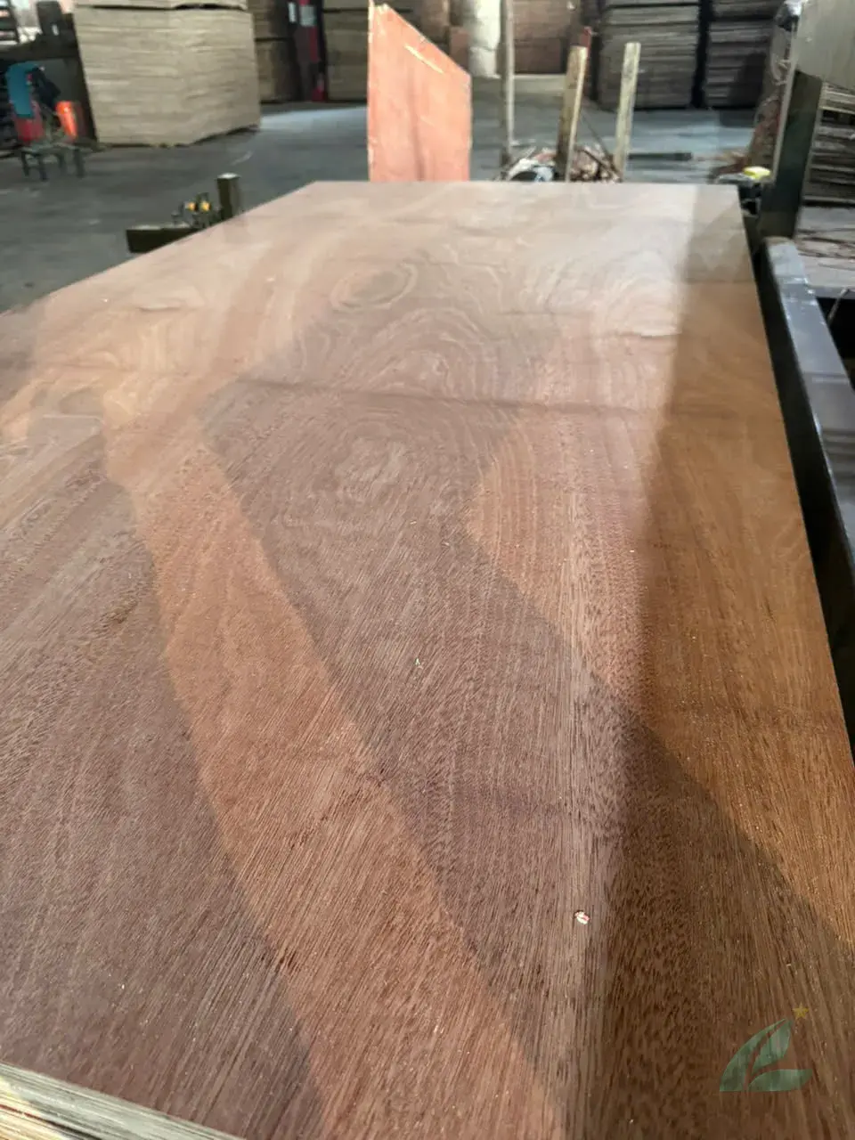 Gurjan plywood Vietnam premium export grade hcply 088