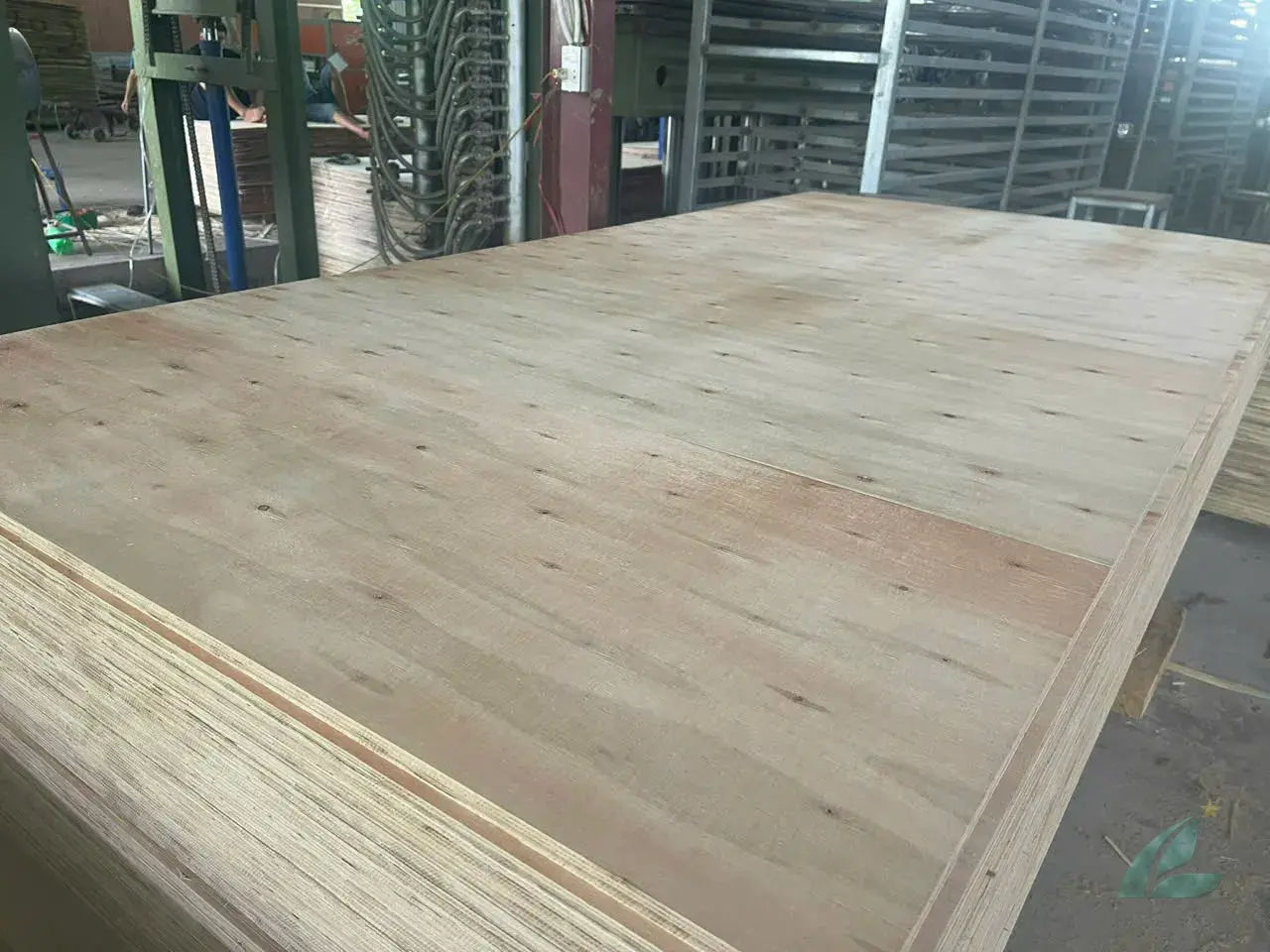 Matt Plywood — HCPLY - Vietnam Plywood
