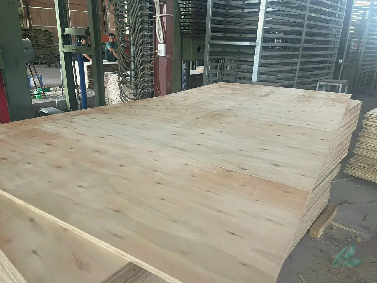 Matt Plywood Vietnam — HCPLY