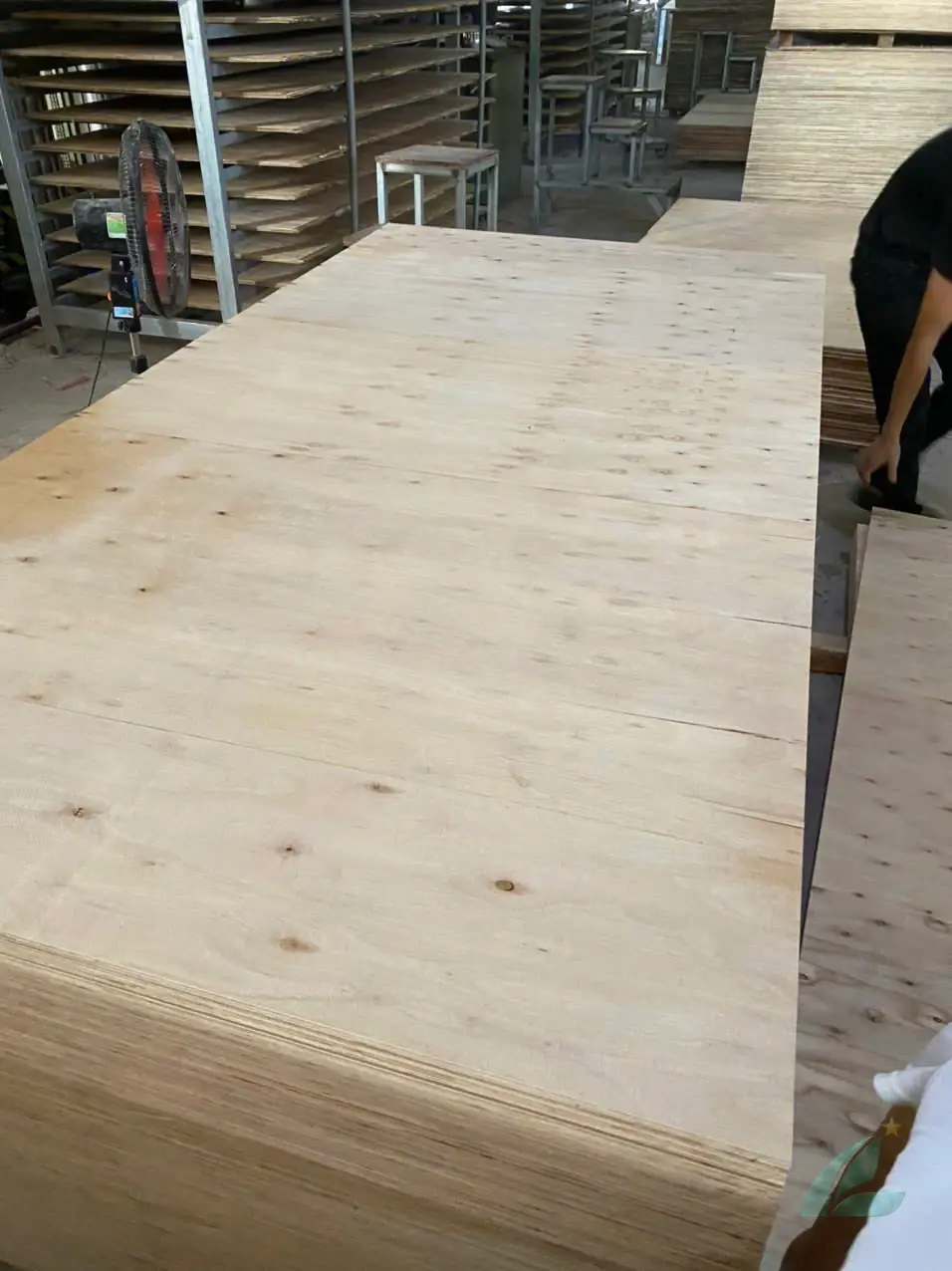 Matt plywood Vietnam unfaced substrate lamination ready HCPLY