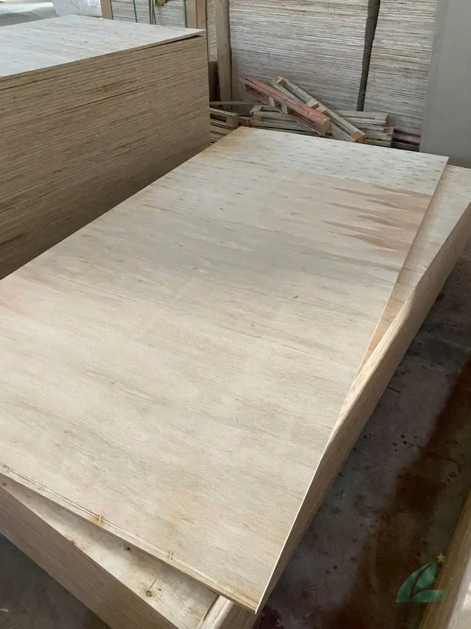 Matt plywood Vietnam export quality hcply 007