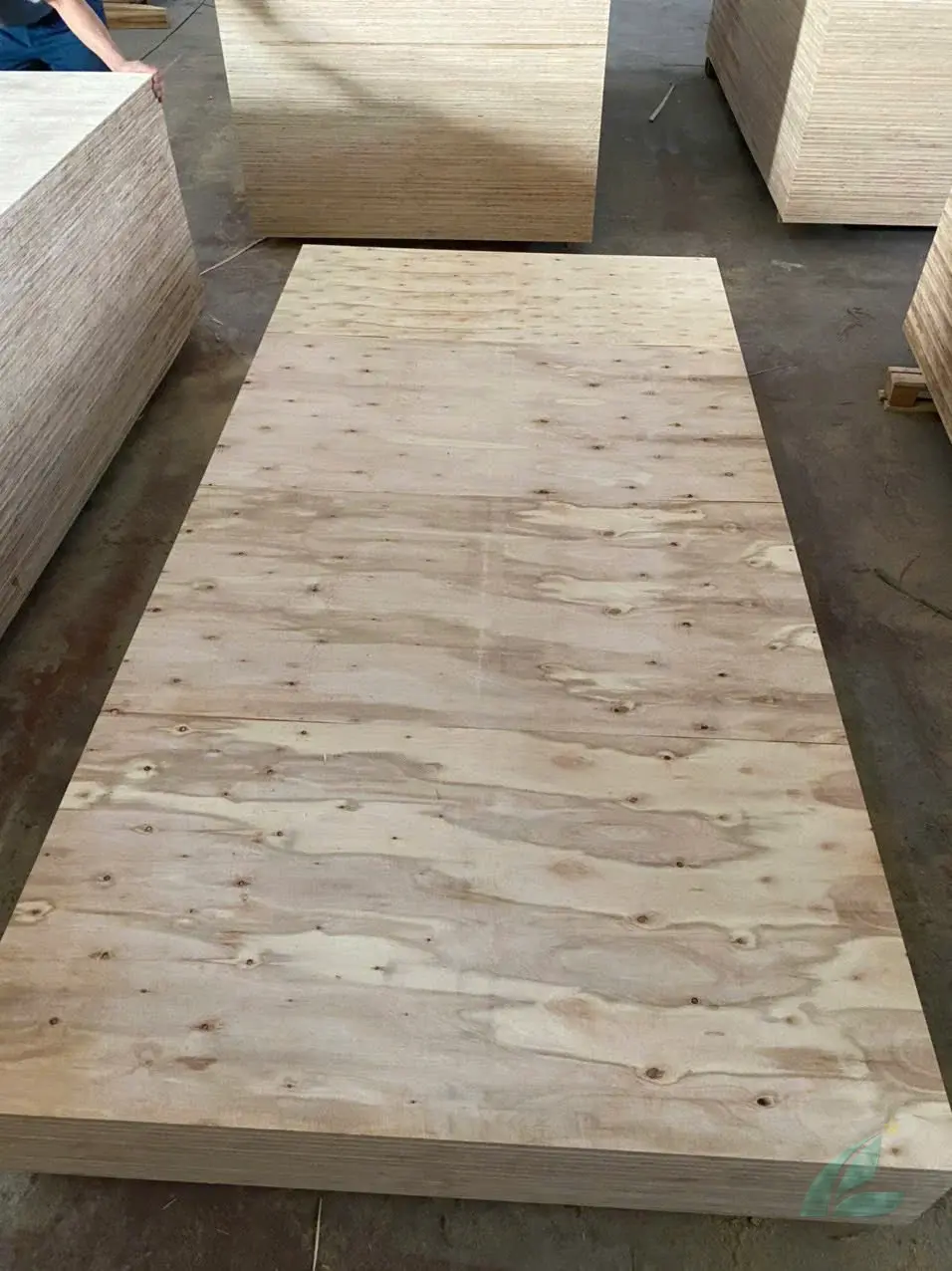 Matt plywood Vietnam export quality hcply 010