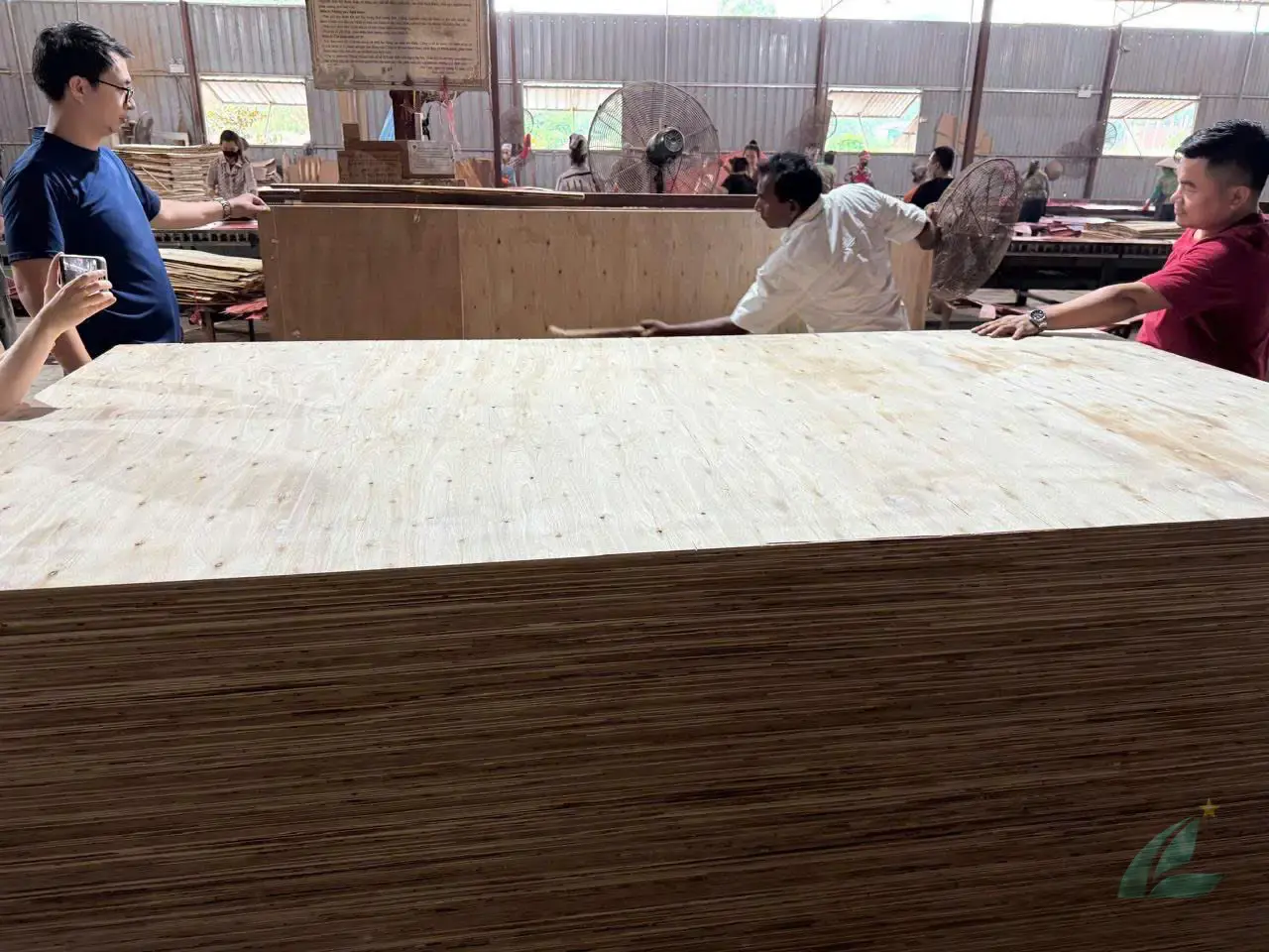 Matt plywood Vietnam export quality hcply 020