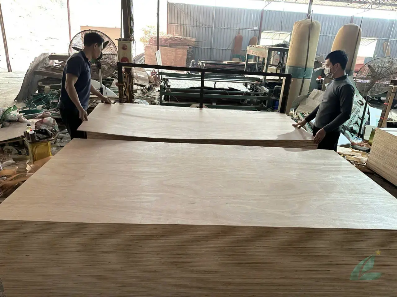 Okoume Plywood — HCPLY - Vietnam Plywood