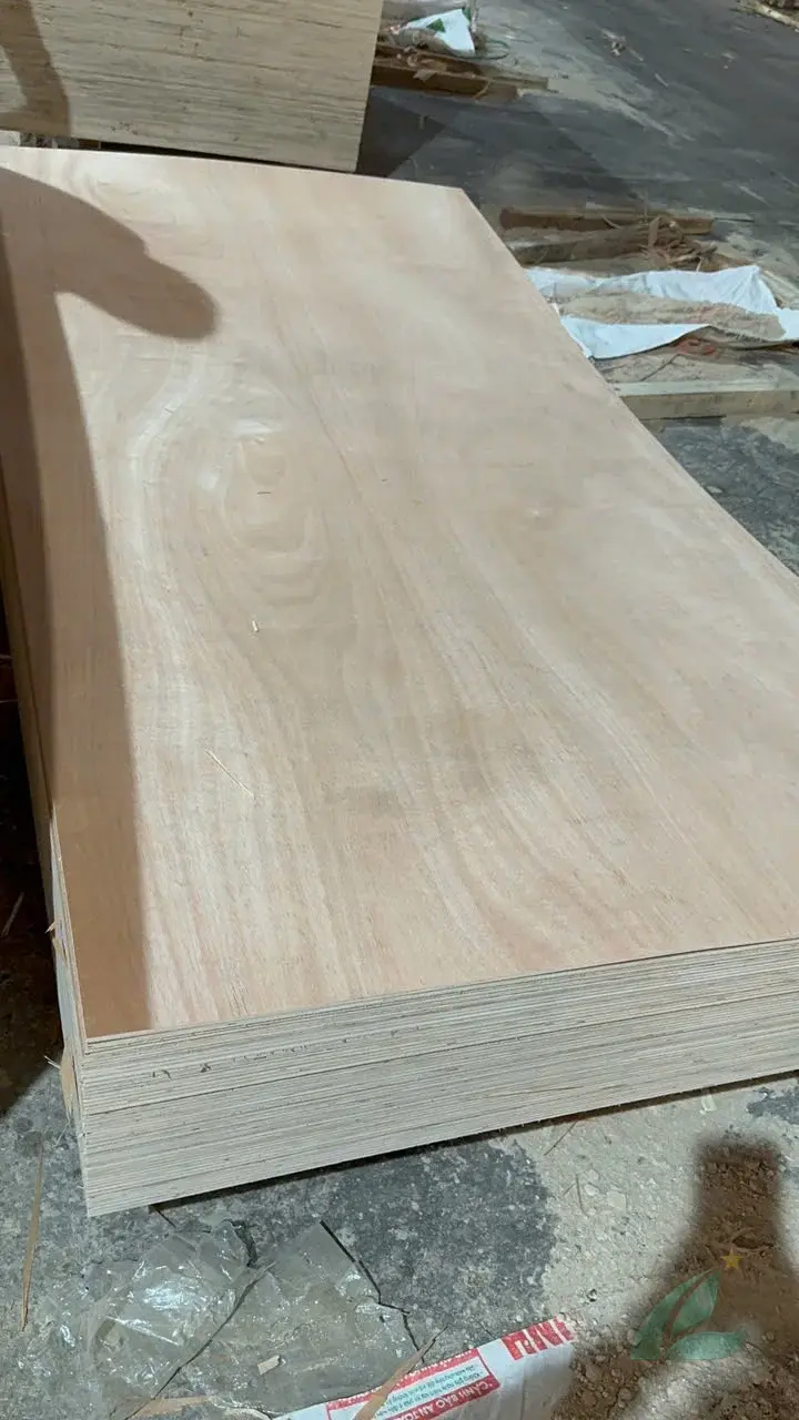 Okoume plywood Vietnam export lightweight panel HCPLY