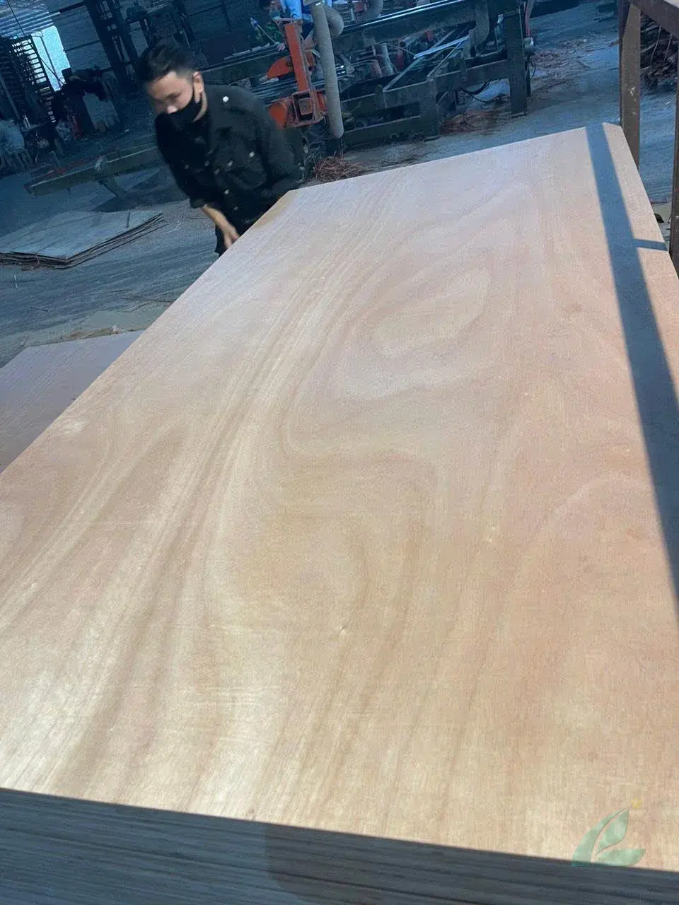 Okoume plywood Vietnam export lightweight panel hcply 055