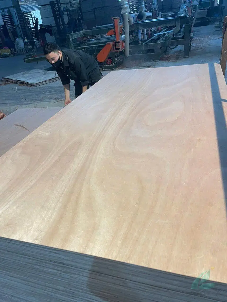 Okoume plywood Vietnam export lightweight panel hcply 057