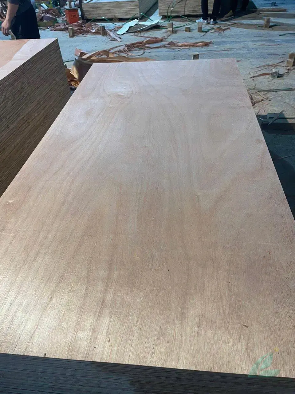 Okoume plywood Vietnam export lightweight panel hcply 059