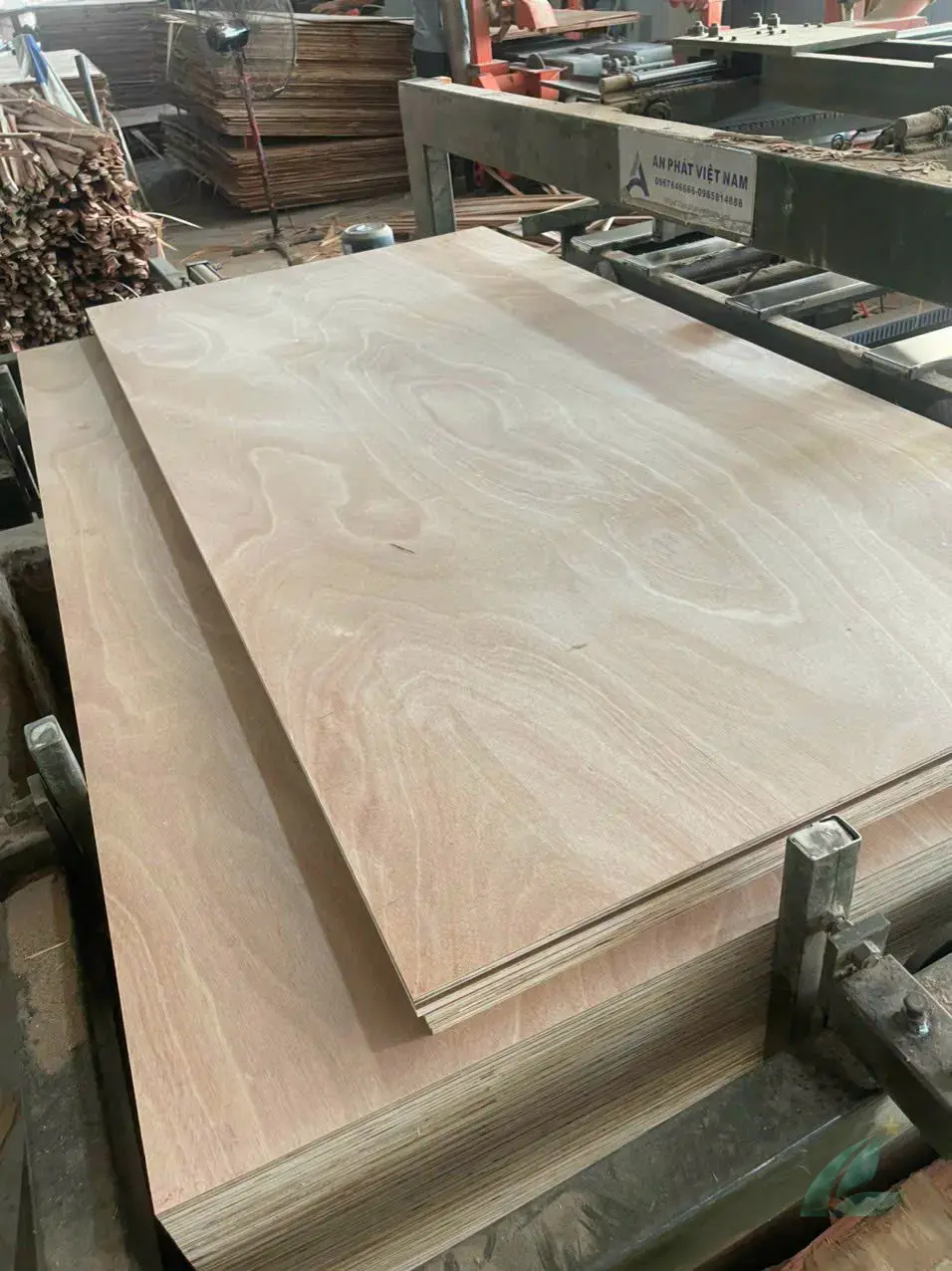 Okoume plywood Vietnam export lightweight panel hcply 065