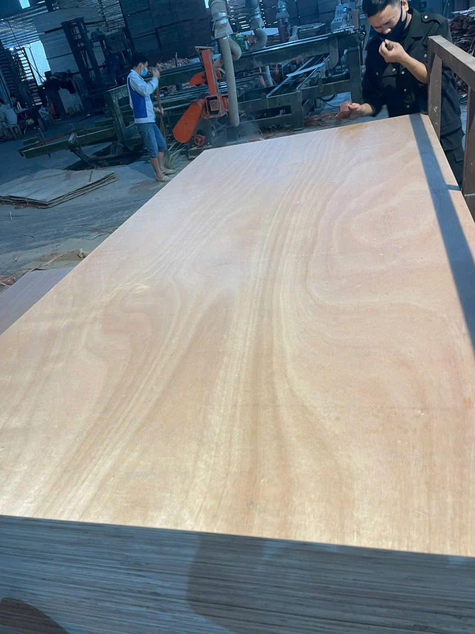 Okoume plywood Vietnam export lightweight panel hcply 067