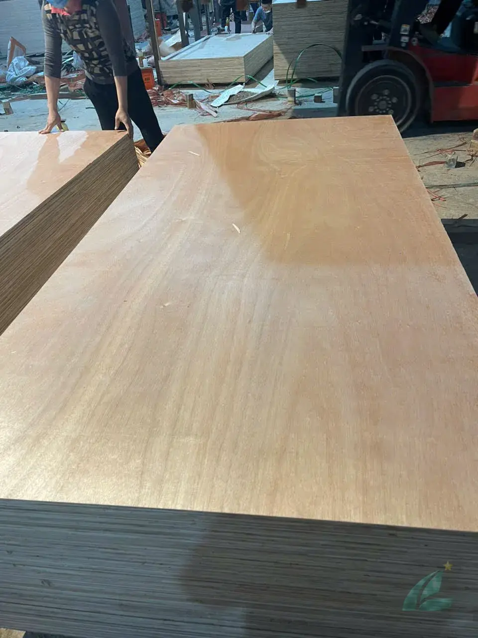 Okoume Plywood Vietnam — HCPLY