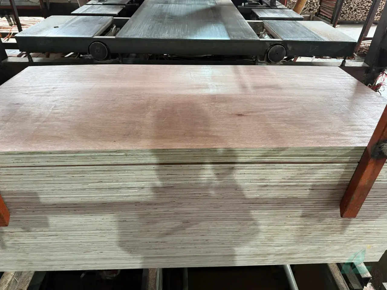 Packing Plywood — HCPLY - Vietnam Plywood