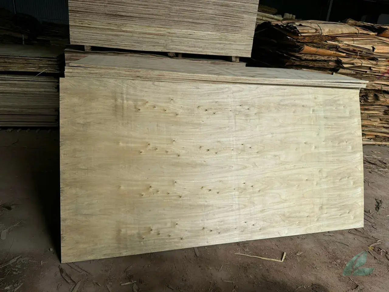 Packing plywood Vietnam bundles ready for container loading HCPLY