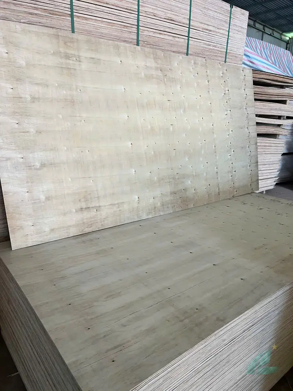 Packing plywood Vietnam quality inspection HCPLY factory floor