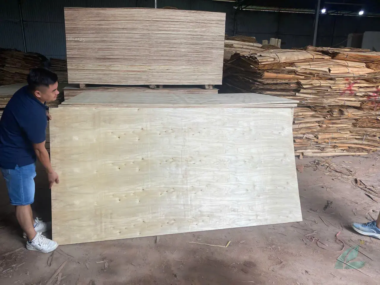 Packing plywood Vietnam panels stacked HCPLY export