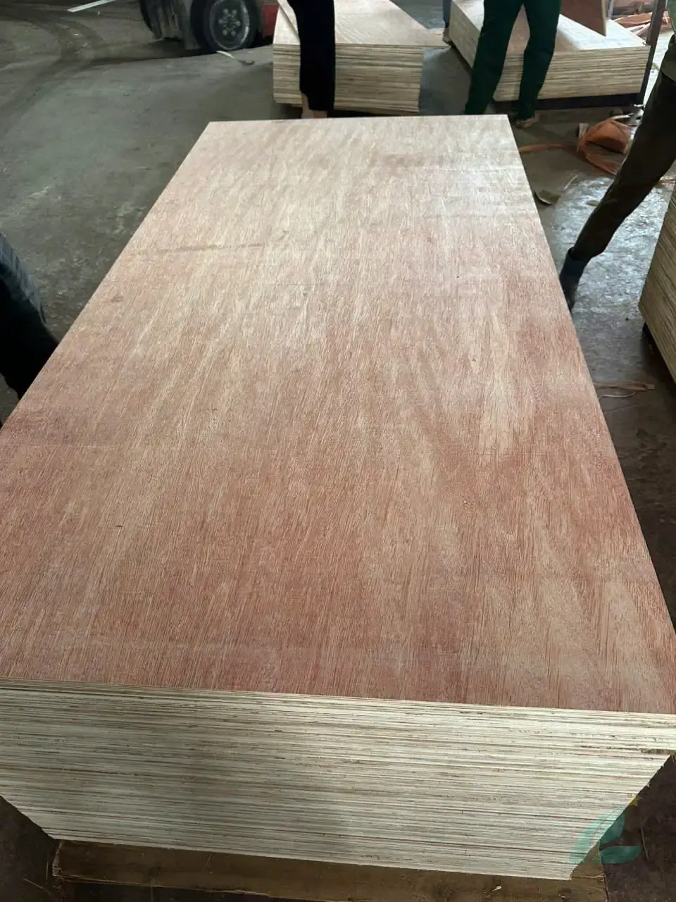 Packing plywood Vietnam factory HCPLY export overview