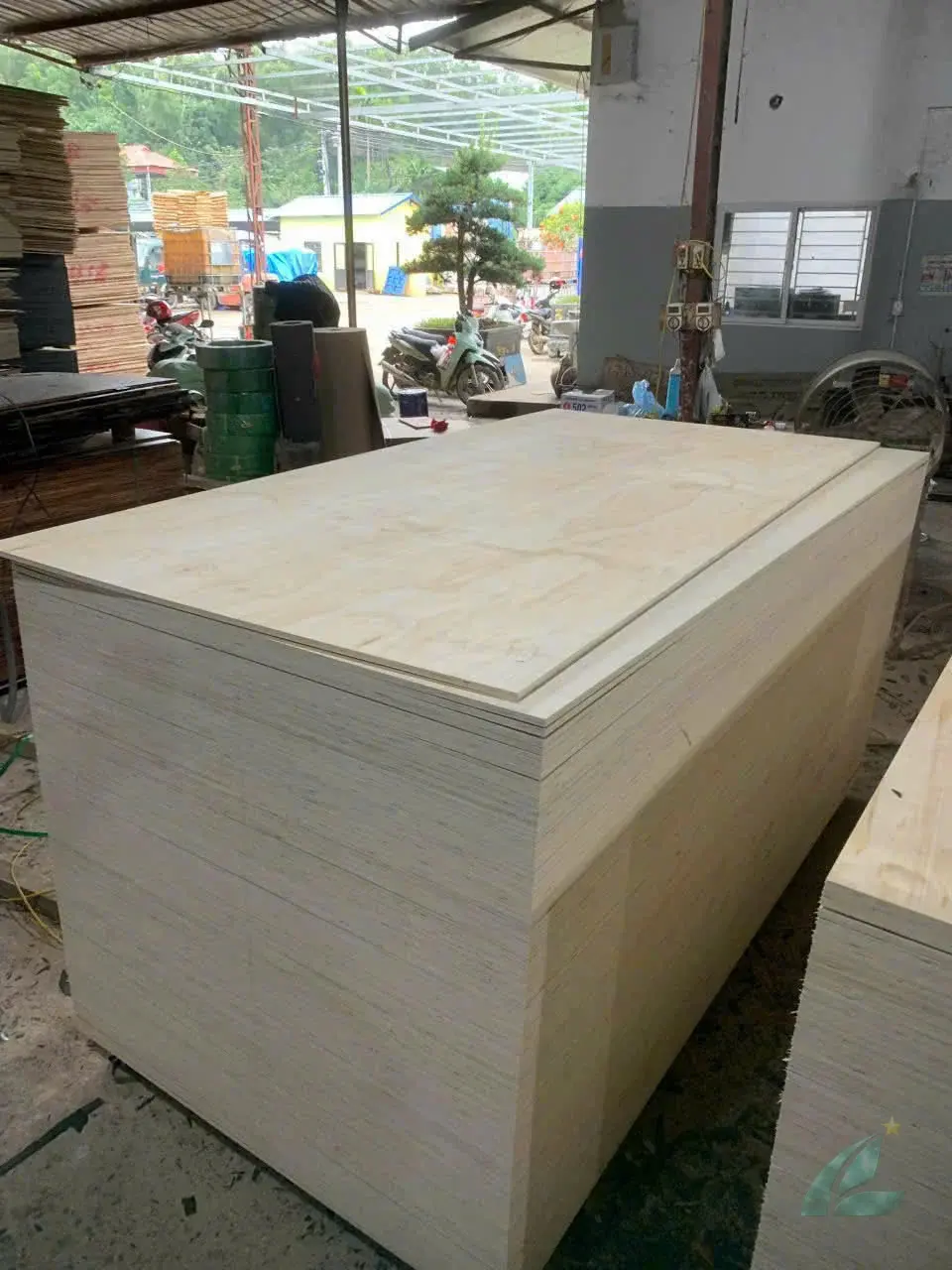 Pine plywood Vietnam softwood natural grain export HCPLY