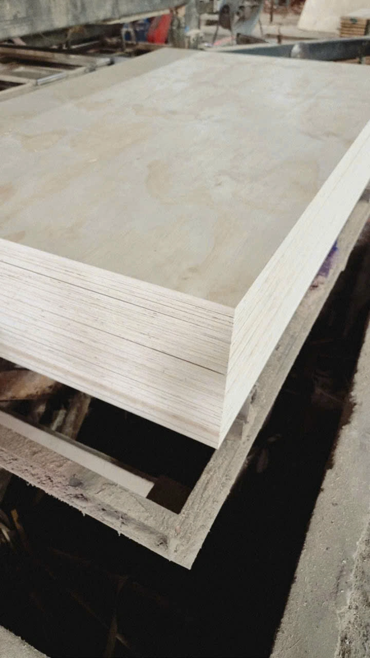 Pine plywood Vietnam softwood core export hcply 011