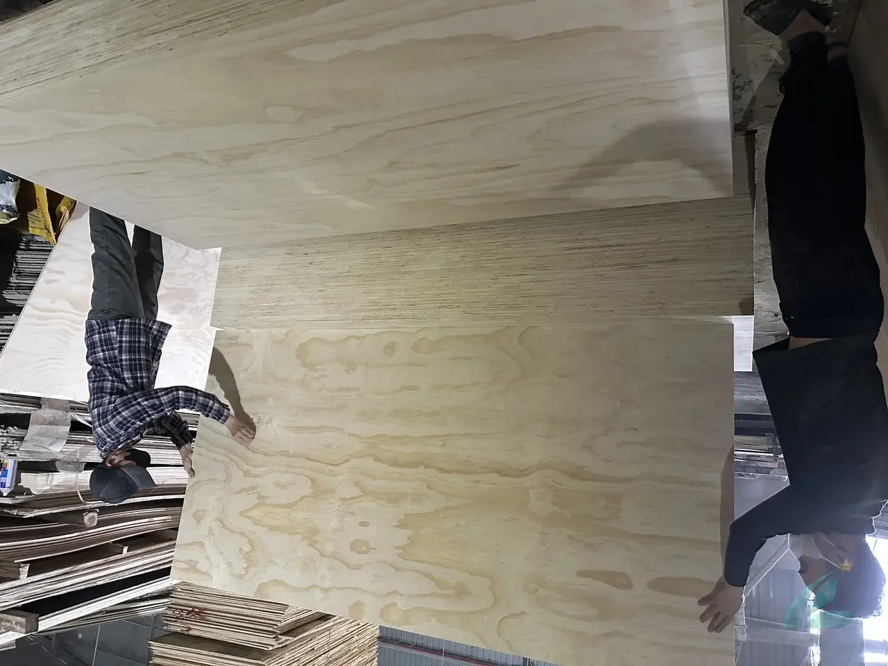 Pine plywood Vietnam softwood core export hcply 015