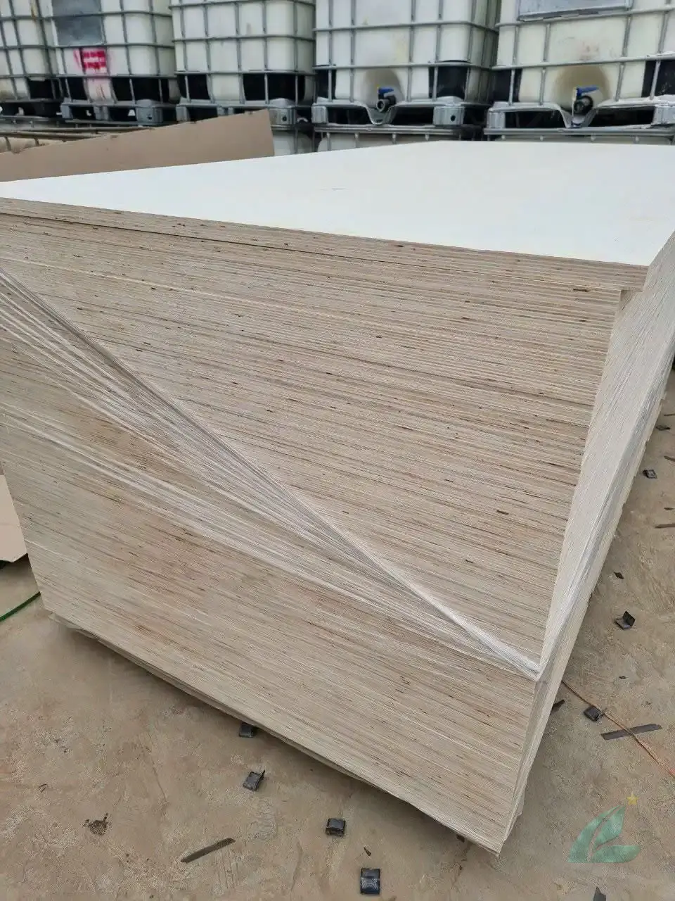 Poplar plywood Vietnam white core export hcply 001