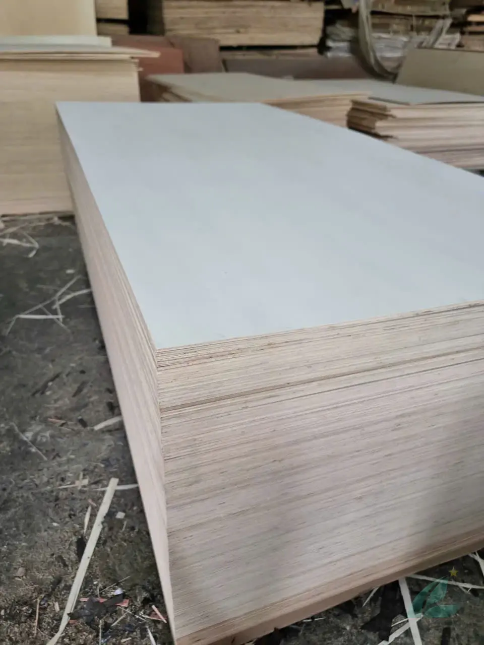 Poplar plywood Vietnam white core export hcply 003