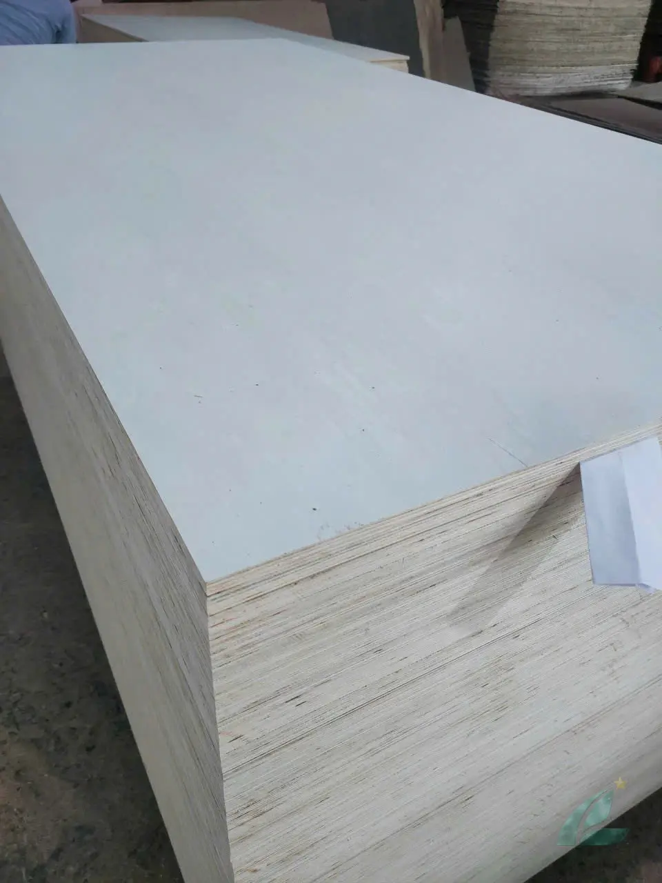 Poplar Plywood — HCPLY - Vietnam Plywood