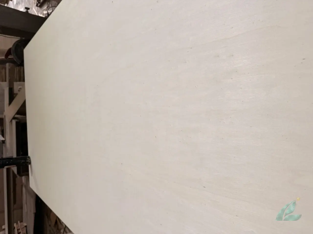 Poplar plywood Vietnam white core export hcply 025