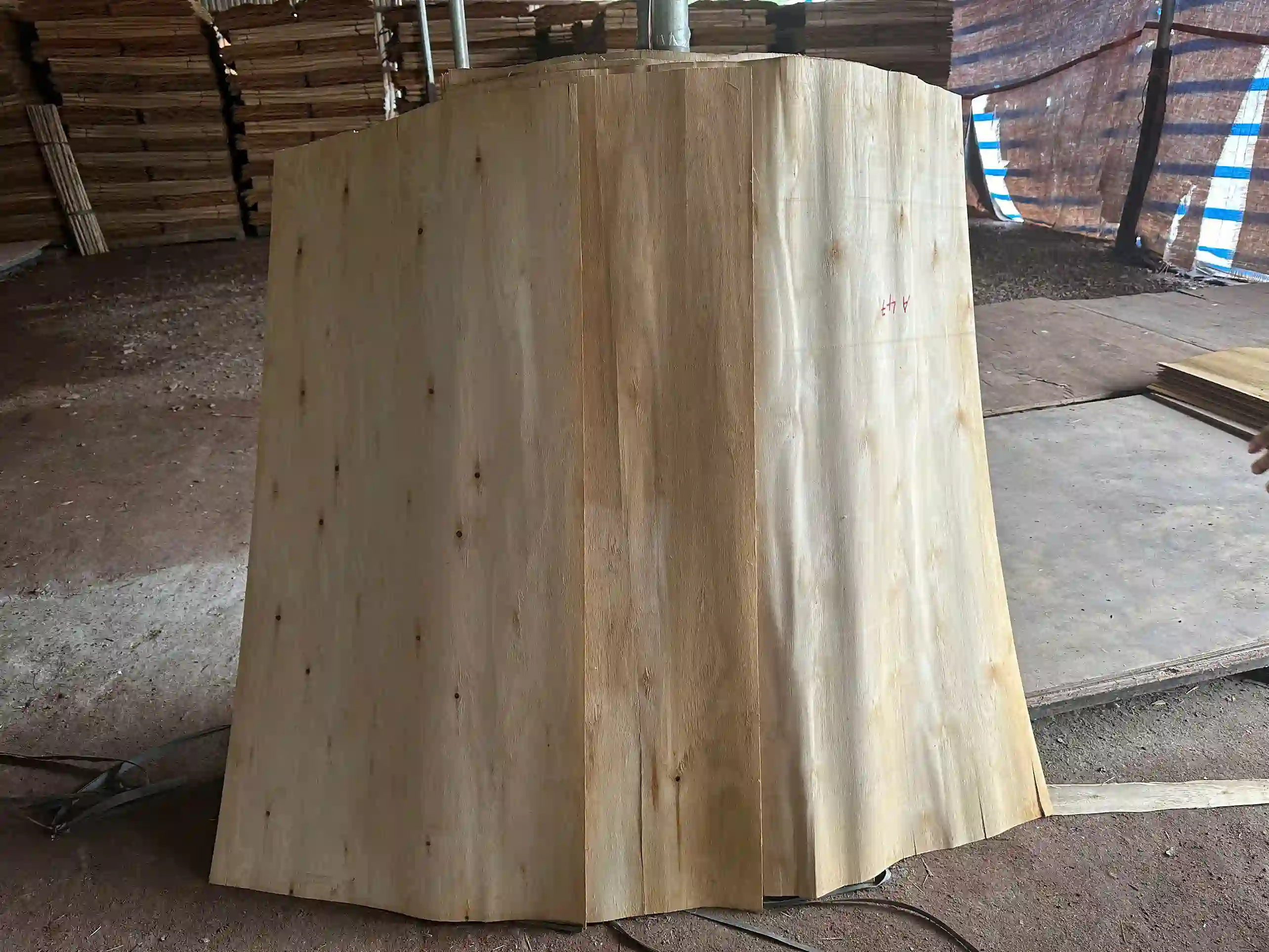 Plywood core veneer quality check — thickness uniformity inspection HCPLY Vietnam