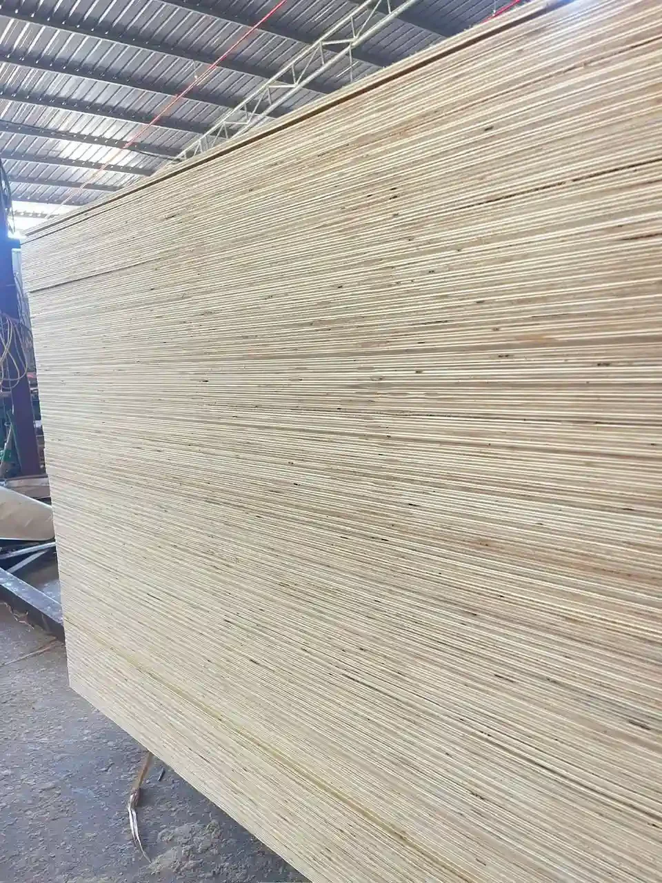 Plywood edge quality inspection export standard HCPLY Vietnam factory
