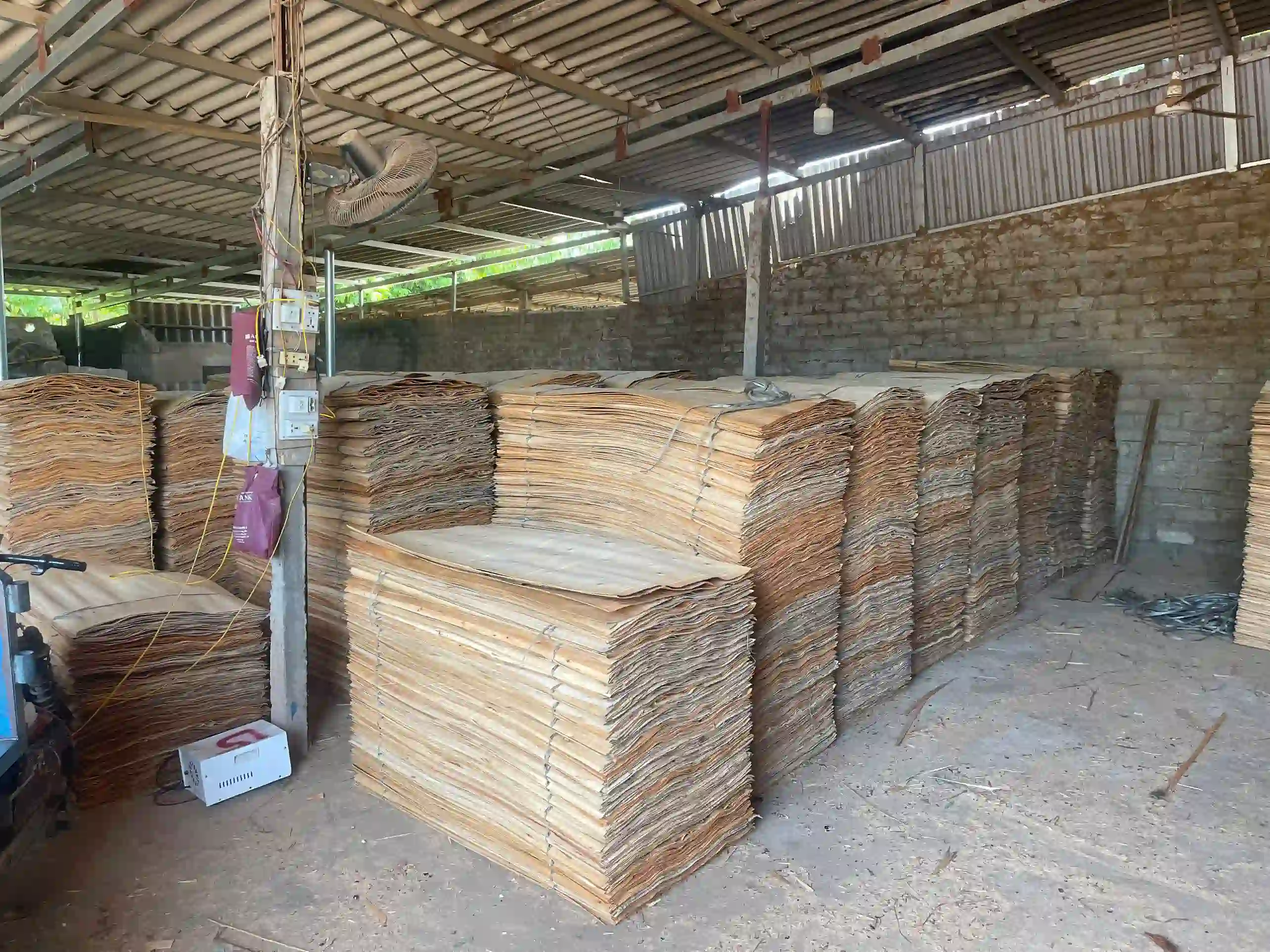 Core veneer production line inside Vietnam plywood factory HCPLY