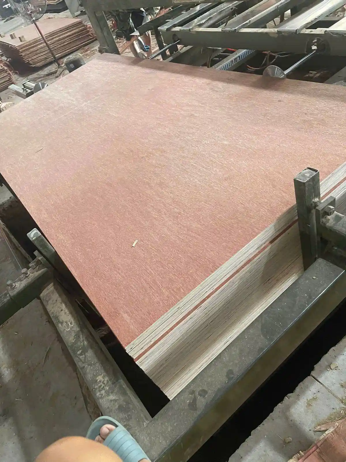 Bintangor plywood face veneer stacked sheets Vietnam export