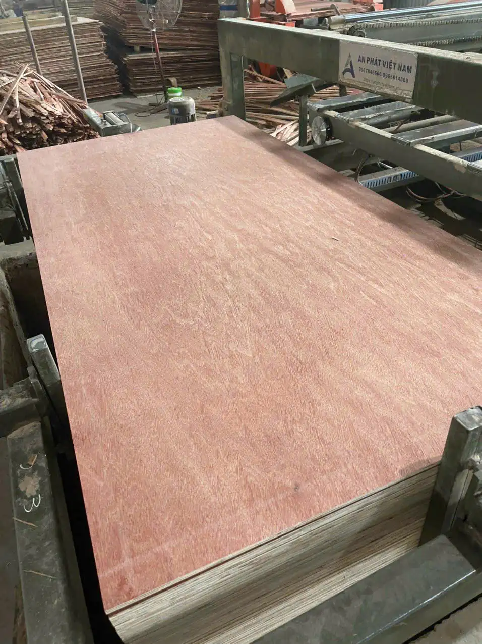 Bintangor plywood grade A furniture export HCPLY
