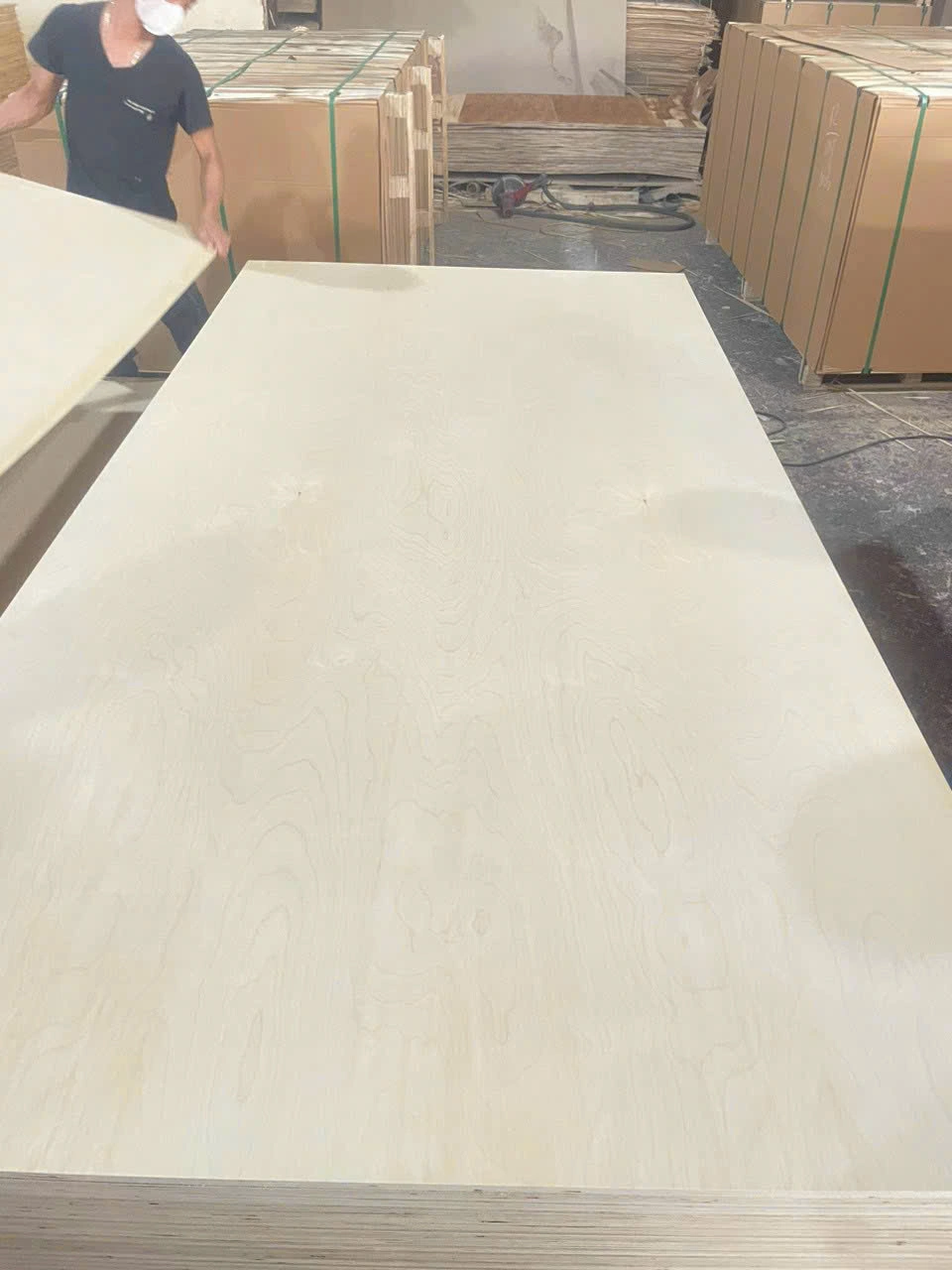 Birch plywood Vietnam export supplier HCPLY