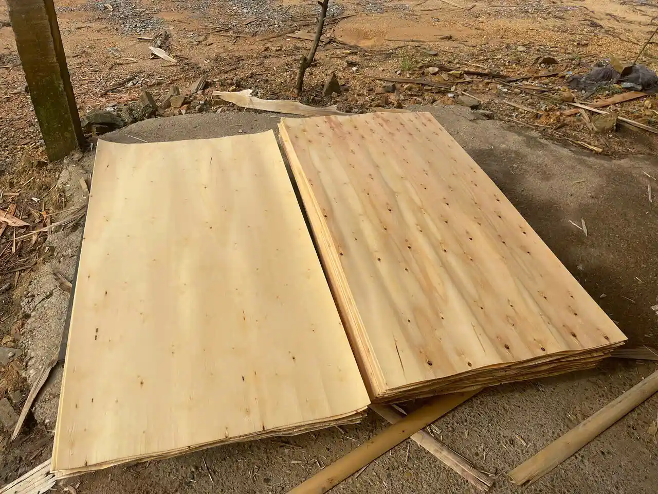 Styrax and acacia core veneer sheets comparison Vietnam plywood