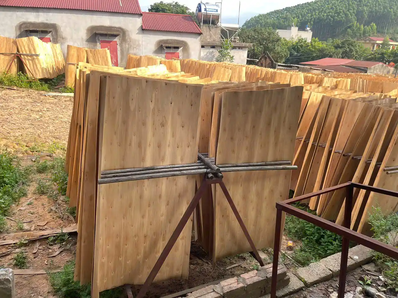 Eucalyptus core veneer high density Vietnam HCPLY