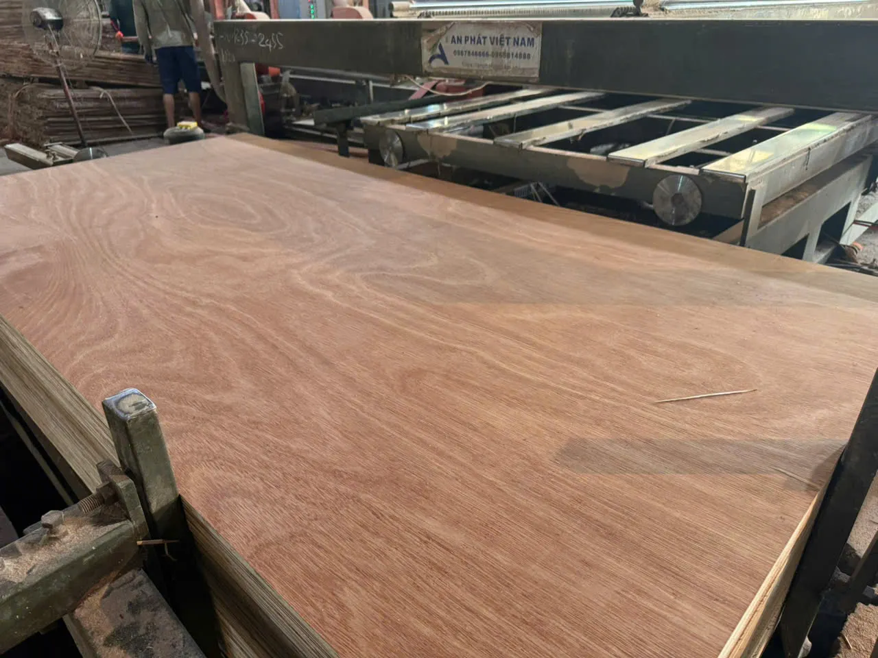 Gurjan plywood Vietnam premium export grade HCPLY